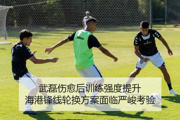 武磊伤愈后训练强度提升 海港锋线轮换方案面临严峻考验 - ODAPP