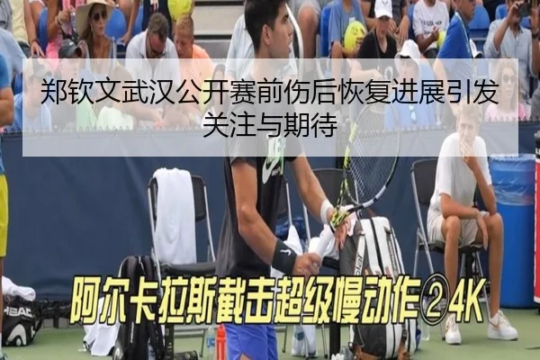 郑钦文武汉公开赛前伤后恢复进展引发关注与期待 - ODAPP